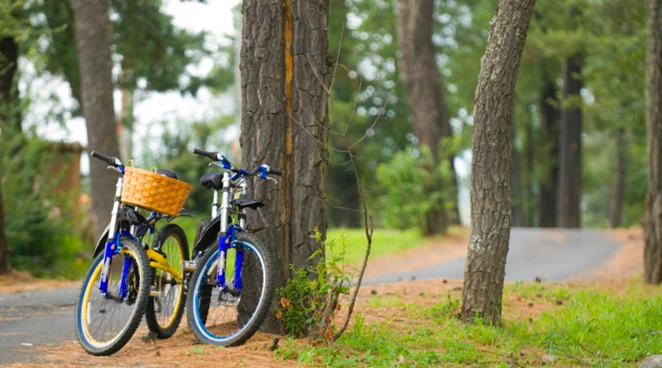 bicicletas-san-bernardo