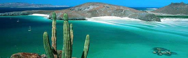 La Paz Mexico Boutique Hotels - 