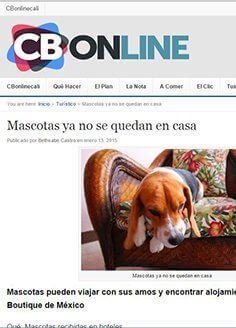 Mascotas ya no se quedan en casa